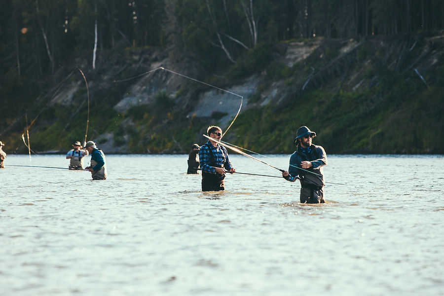 Image by Austin Neill