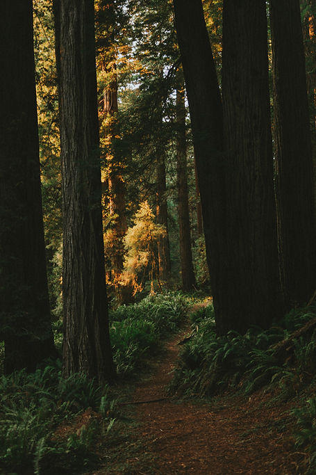 Image by Andrew Charney