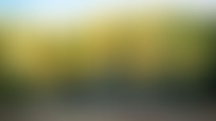 why is spiritual formation so appealing