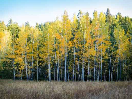 why is spiritual formation so appealing