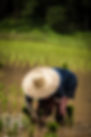 Image by Eduardo Prim