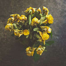 Wilted yellow roses with green leaves against a dark, textured background, conveying a somber and melancholic mood.