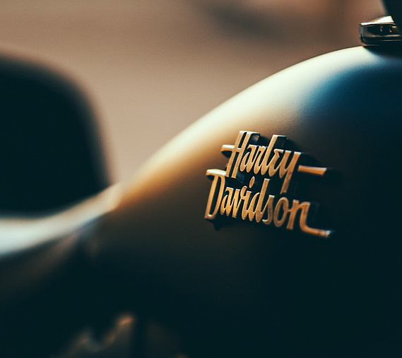 Image by Austin Neill
