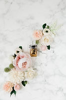Image by Lindsey Savage