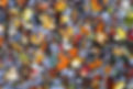 Diversity puzzle