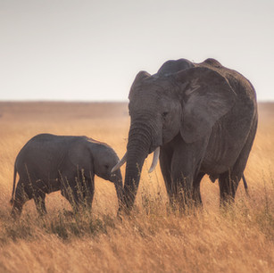 Tanzania