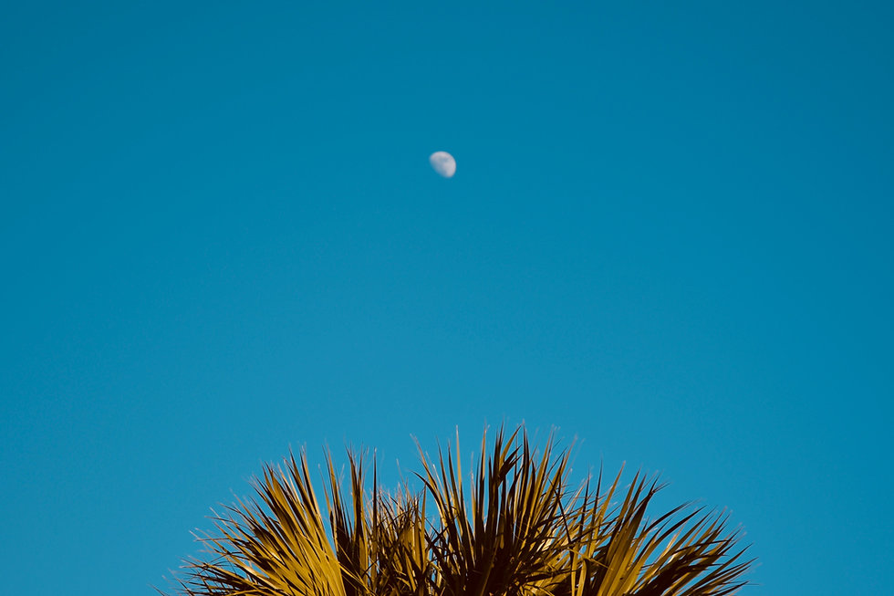 Image by Max Lederer