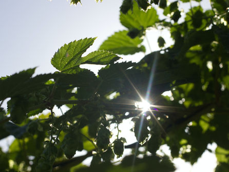 A Practical Guide to Supply Chain Sustainability