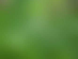 記憶力は補える<お家で簡単!自分でセラピー>