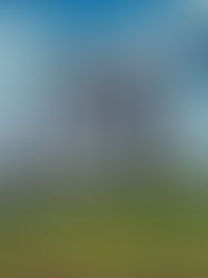 Banco do Brasil se posiciona para liderar mercado de carbono com mesa própria de negociação