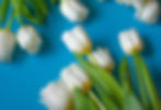 Spring Flower Arranging Class