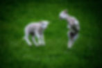 Image by Liam Read