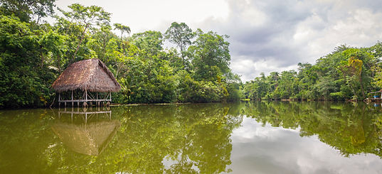 Image by Isaac Quesada
