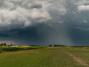 Hail Warnings: Tech to the Rescue – How AgriTech Can Shield Your Crops from Nature's Fury