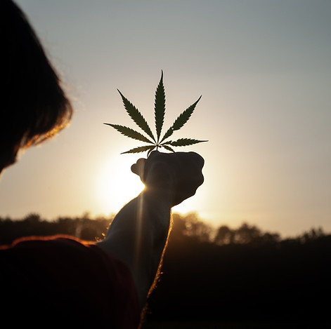 Image by David Gabrić