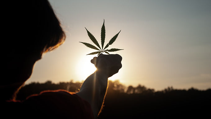 What Questions Should You Ask A Budtender At A Weed Shop In California?