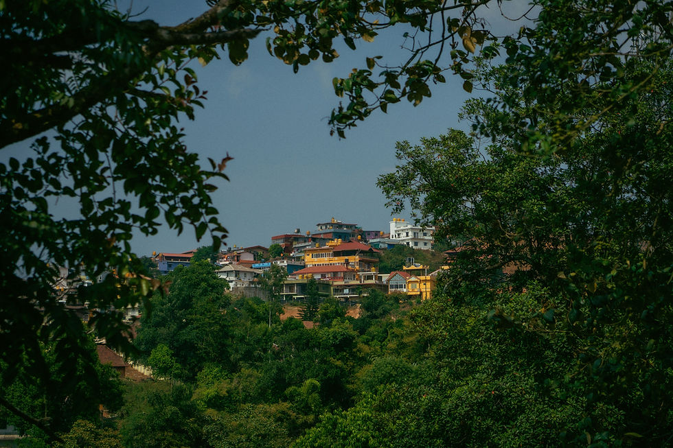 Image by Aakash Goel