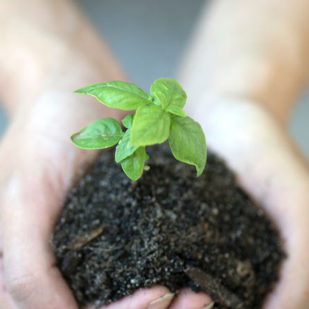 Nurturing the Full Potential in Others