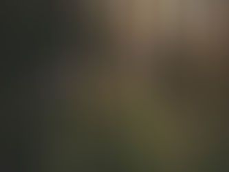 The Softness inside Strength