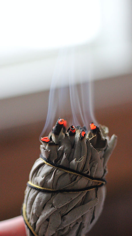 Image by Kayla Maurais