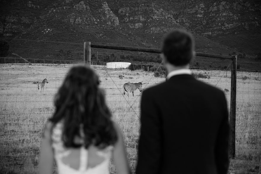 Image by Louis Smith