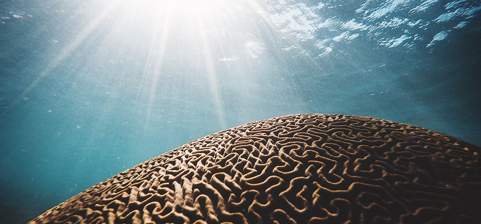 Image by Daniel Hjalmarsson