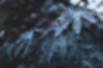 Surviving Grief - February 4