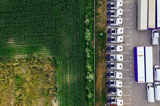 Image by Marcin Jozwiak