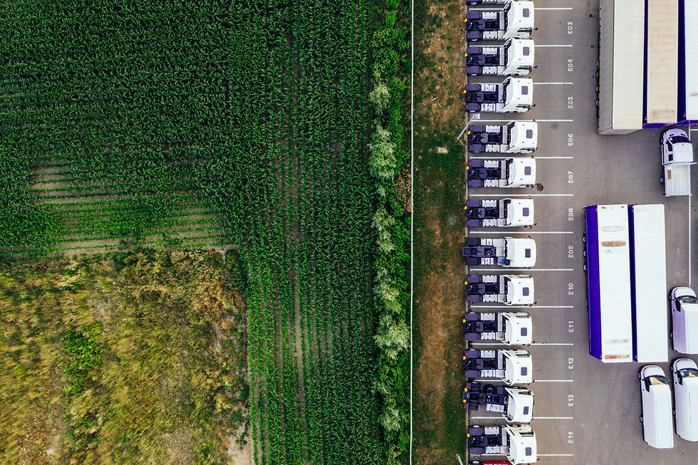 Image by Marcin Jozwiak
