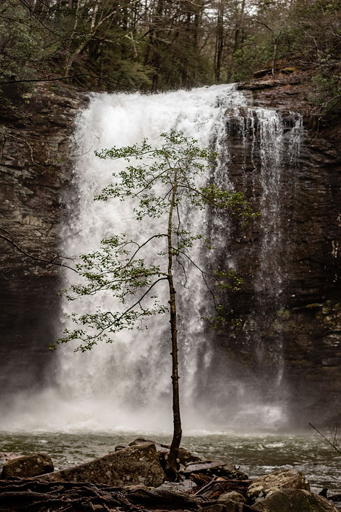 Image by Joshua J. Cotten