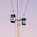 Image by Grace Ho