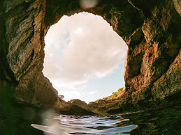 Image by alevision.co