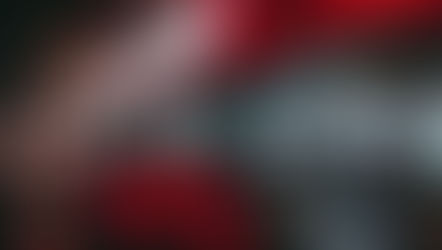 Einsteigen, abheben, ankommen – eine neue Buslinie verbindet Lörrach mit dem EuroAirport