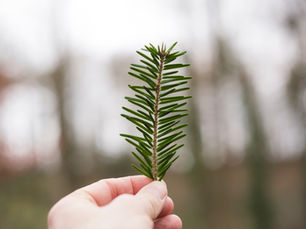 Welcoming Winter: A mini guide to Yule Practises