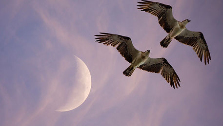 In this teaching, Lisa Kane explores the revelation of the Sabbath as more than a commandment—it is an intermission designed by God for His people’s rest, renewal, and recognition of His provision. Beginning with Luke 14 and John 5, she shows how Jesus healed on the Sabbath, challenging the Pharisees’ legalistic view and revealing that God’s work of healing and compassion never ceases. These events demonstrate that the Sabbath is not about restriction but about encountering God’s restorative power.
Turning to Exodus 16 and 31, the message highlights how God provided manna in double measure on the sixth day, ensuring Israel could rest on the seventh without lack. This miracle served as a sign across generations that He alone is Lord and sustainer. The Sabbath becomes not just physical rest, but a divine pause where believers witness God’s provision and protection.
Lisa applies this revelation to the New Covenant, showing that the believer’s body is now the temple of the Holy Spirit (1 Corinthians 6). Rest is not limited to one day but can be practiced daily by entering the secret place with God (Psalm 91). The double portion manifests as spiritual, emotional, and physical renewal, giving strength for life’s battles, intercessory prayer, and ministry. Even in trials—such as caring for loved ones during illness—God provides sustaining rest and peace through His presence.
The teaching concludes with practical encouragement: to intentionally set aside intermission time with the Lord, whether an entire day or moments throughout the week. By doing so, believers experience God’s hedge of protection, refreshment of spirit, and the miracle of provision that confirms His lordship.