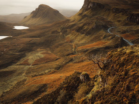 Beowulf in The Lord of the Rings