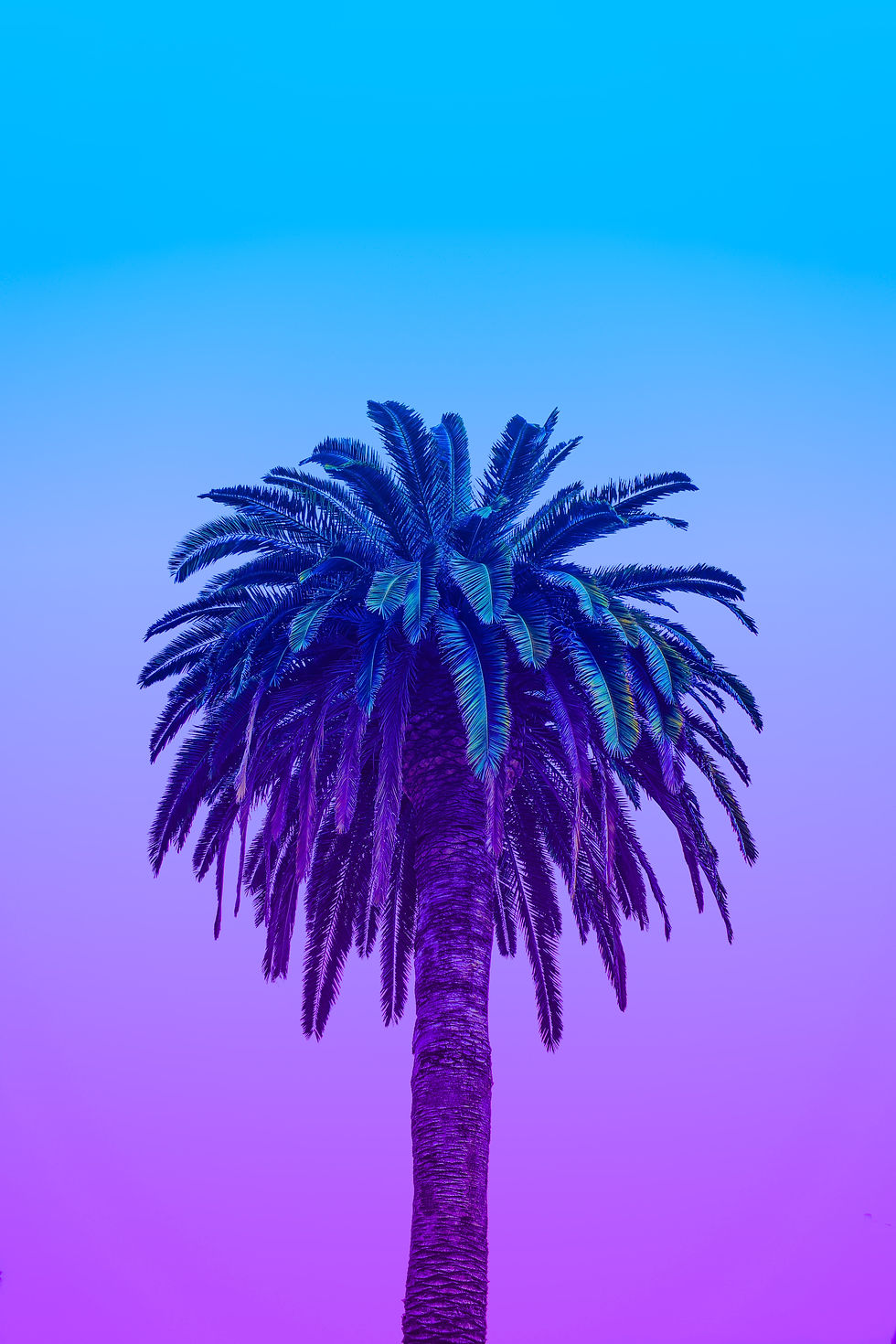 Complementary Color Scheme