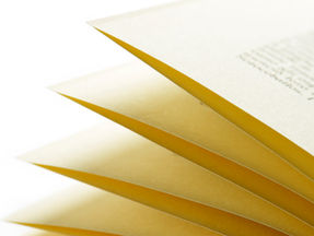 decorative image of book