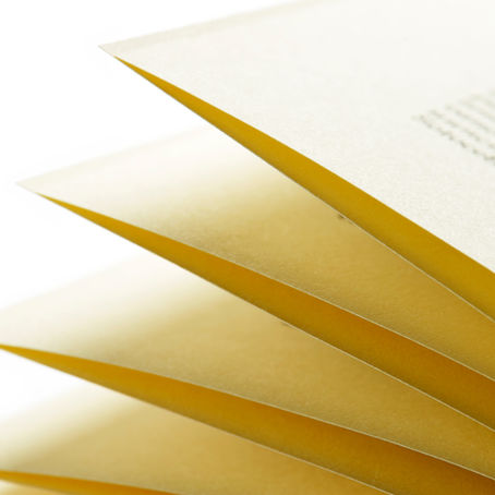 Manual do usuário para os módulos WEB GERAL e SST