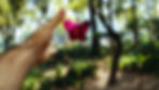 a male hand reaching for a pink butterfly