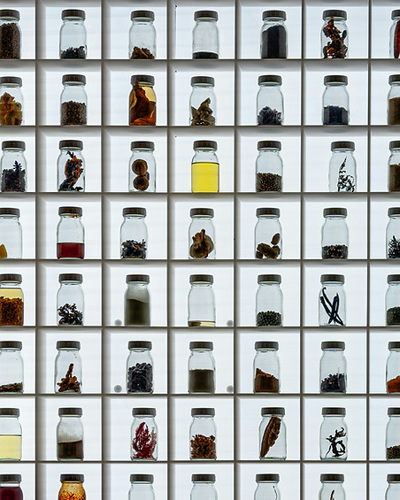 이미지 제공: Poul Hoang