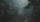 Foggy evergreen forest path under dark trees, with misty gray light and a moody, quiet atmosphere.