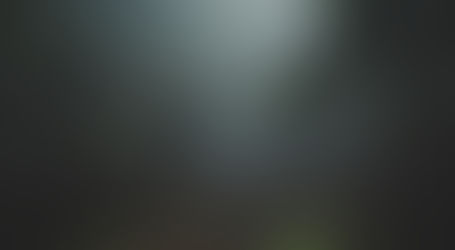 Foggy evergreen forest path under dark trees, with misty gray light and a moody, quiet atmosphere.