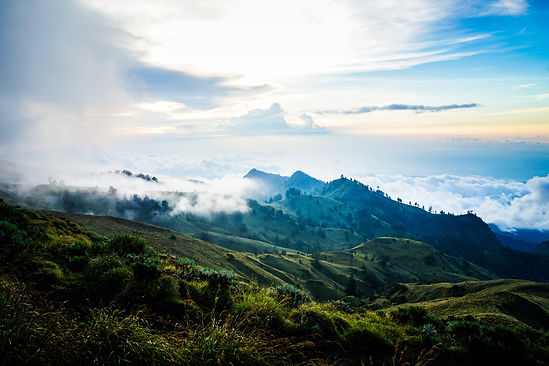 Image by Aaron Thomas