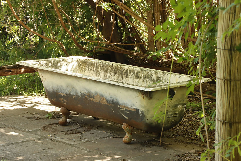 Image by Juantelle Louw
