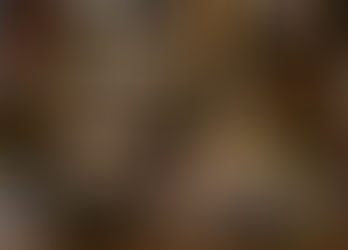 6 Simple Steps on How to Get Your Own Stuff Done While the Kids Are Homeschooling