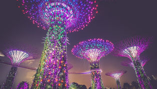 Destination – Singapore
