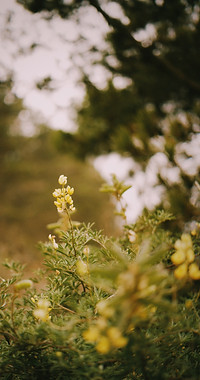 Image by Cristian Morales