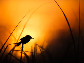 Post 49: A Personal Note - Finding Gratitude in My Work