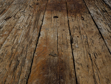 dry rot detection